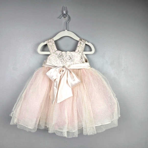 CHANTILLY PLACE Tool Flower Formal Dress Champagne Blush Baby Girl Sz 18 Months - Picture 3 of 12